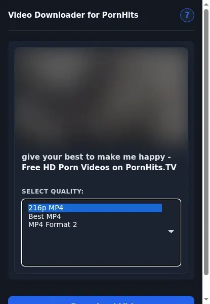 PornHits Downloader format dropdown options