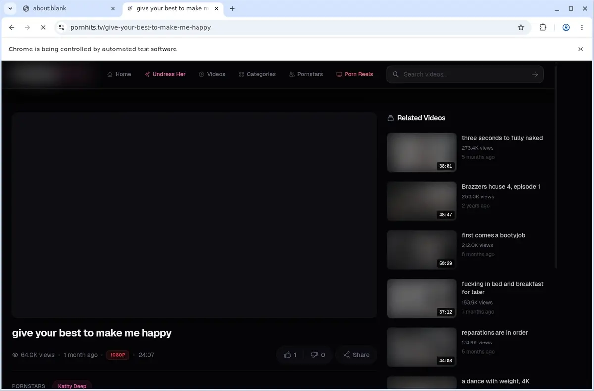 PornHits Downloader page open in the browser