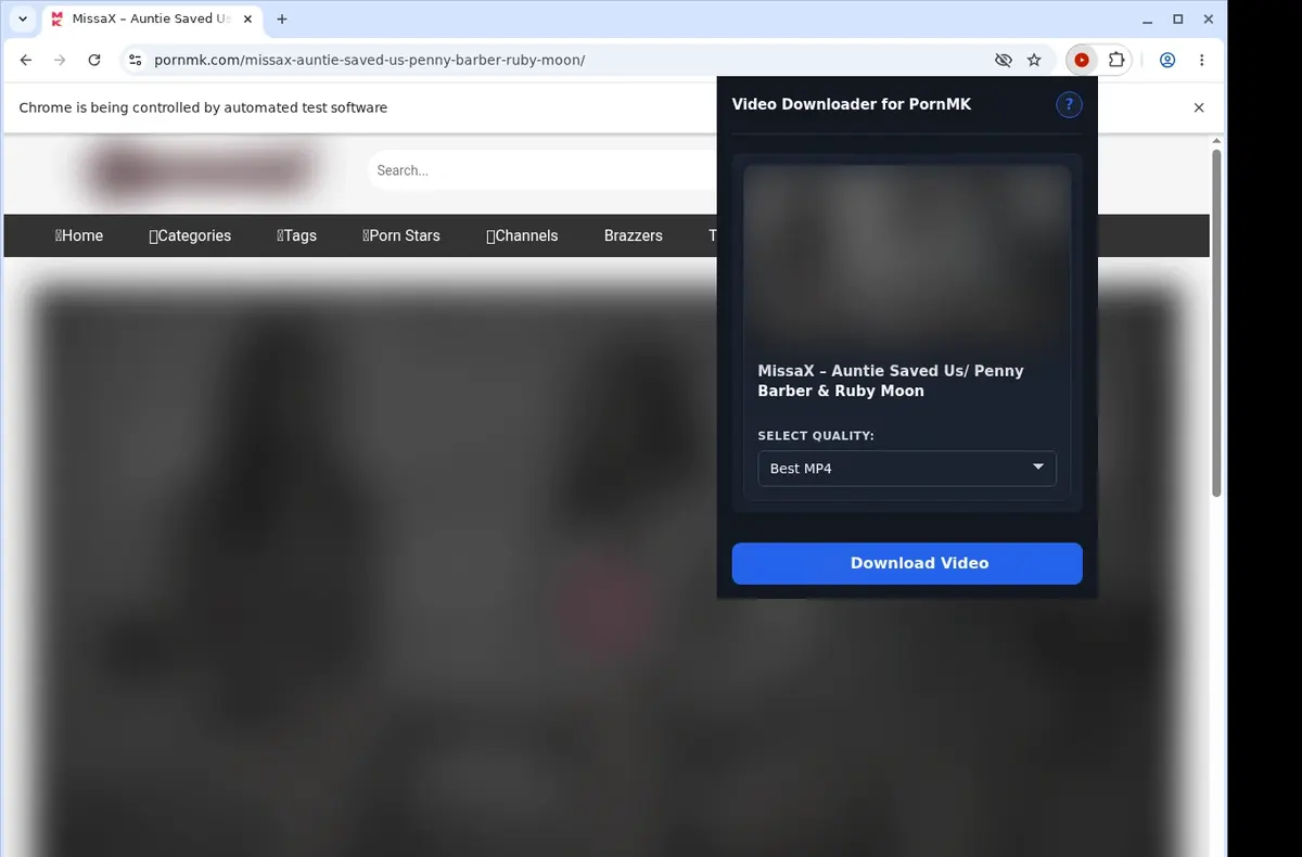PornMK Downloader showing detected media ready to download