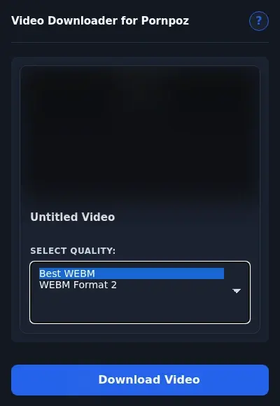 PornPoz Video Downloader format dropdown options