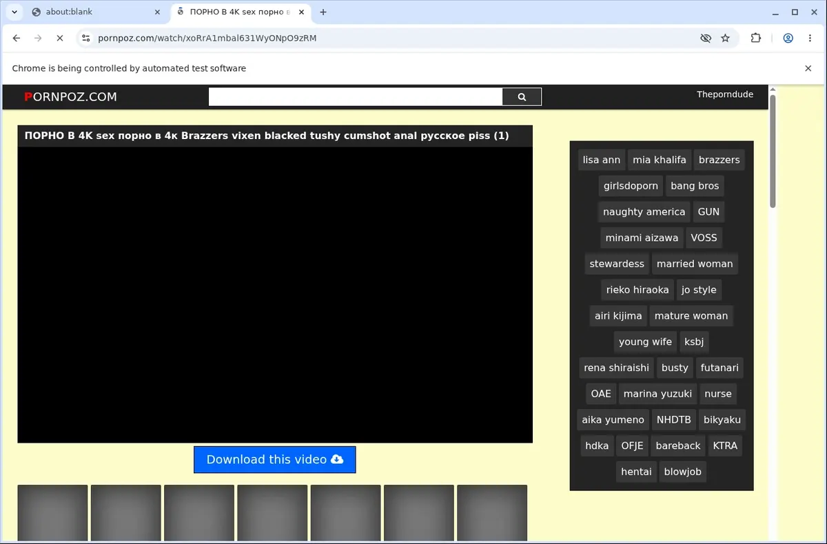 PornPoz Video Downloader page open in the browser