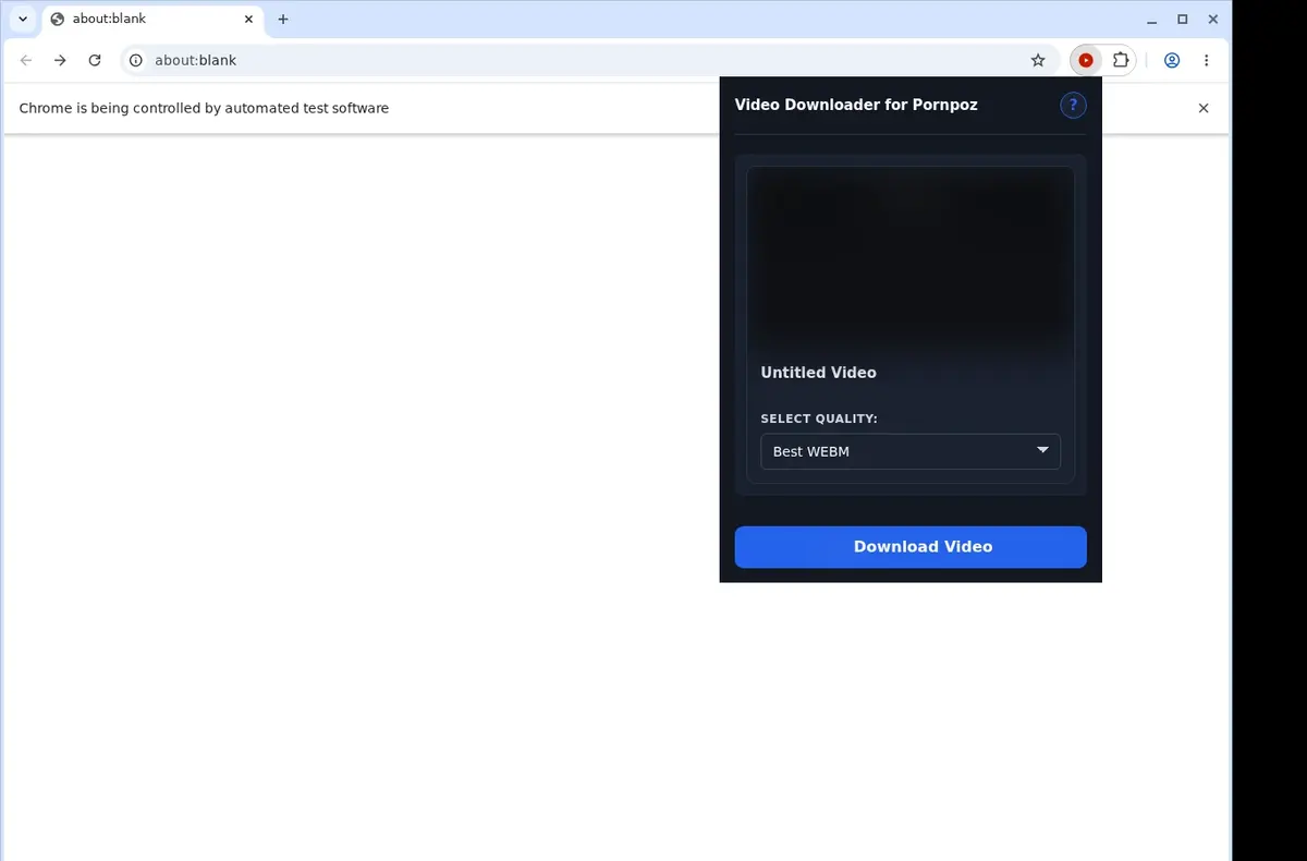 PornPoz Video Downloader showing detected media ready to download
