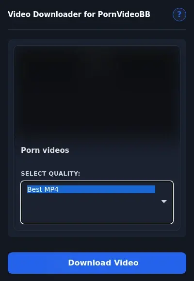PornVideoBB Downloader format dropdown options