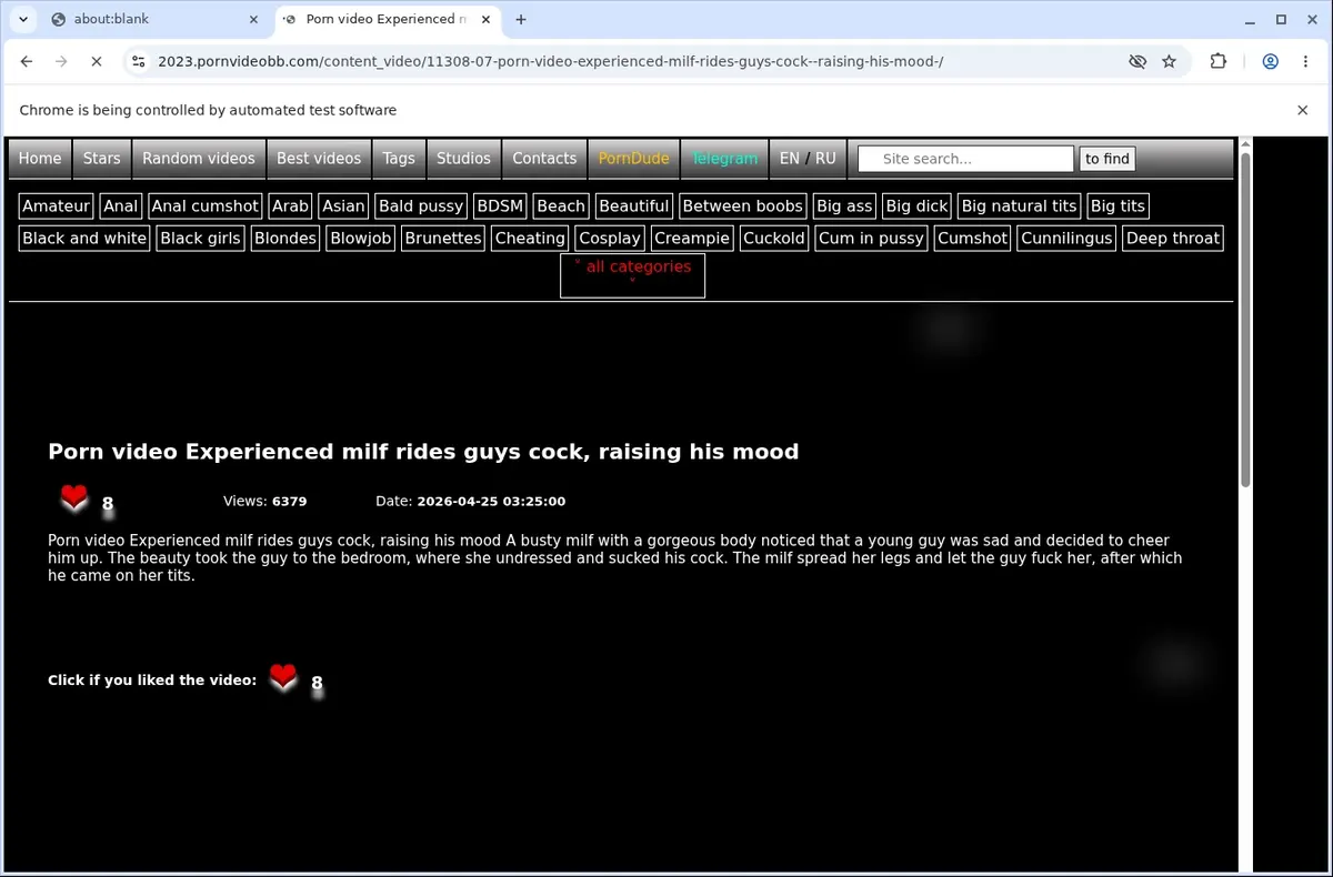 PornVideoBB Downloader page open in the browser