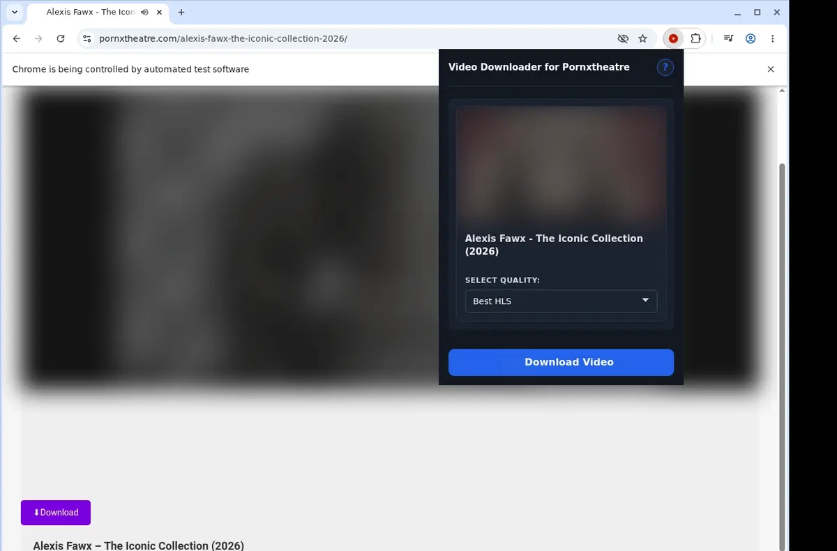 PornXTheatre Video Downloader showing detected media ready to download