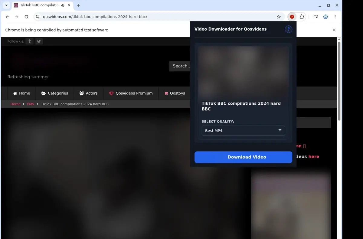 QOSVideos Video Downloader showing detected media ready to download