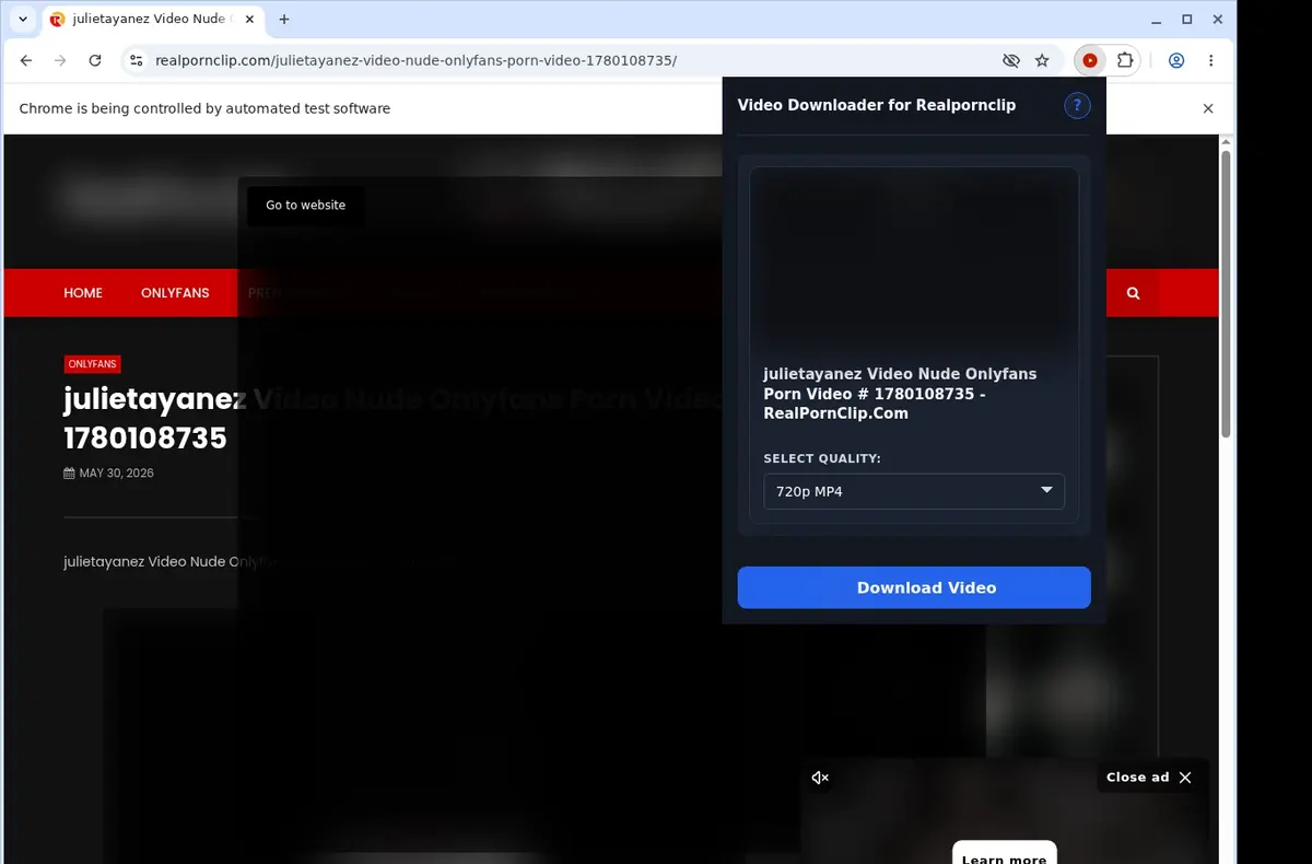 RealPornClip Video Downloader showing detected media ready to download