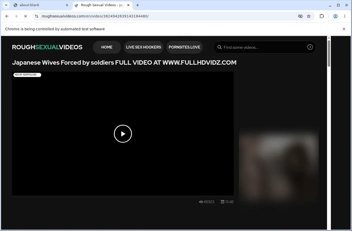 Roughsexualvideos Video Downloader page open in the browser