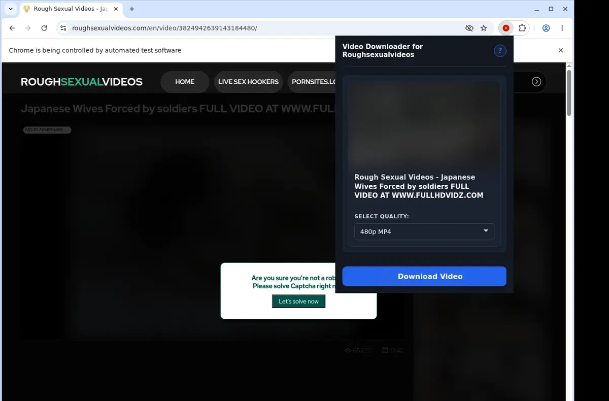 Roughsexualvideos Video Downloader showing detected media ready to download