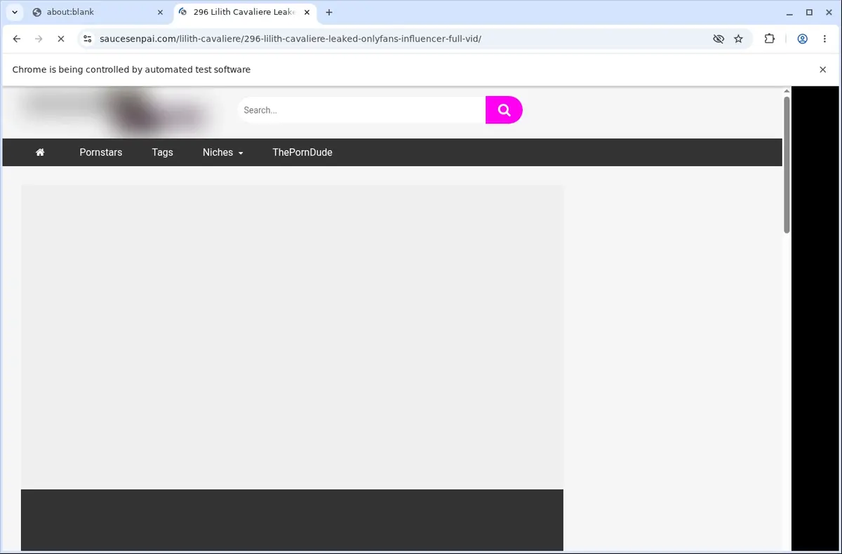 SauceSenpai Video Downloader page open in the browser