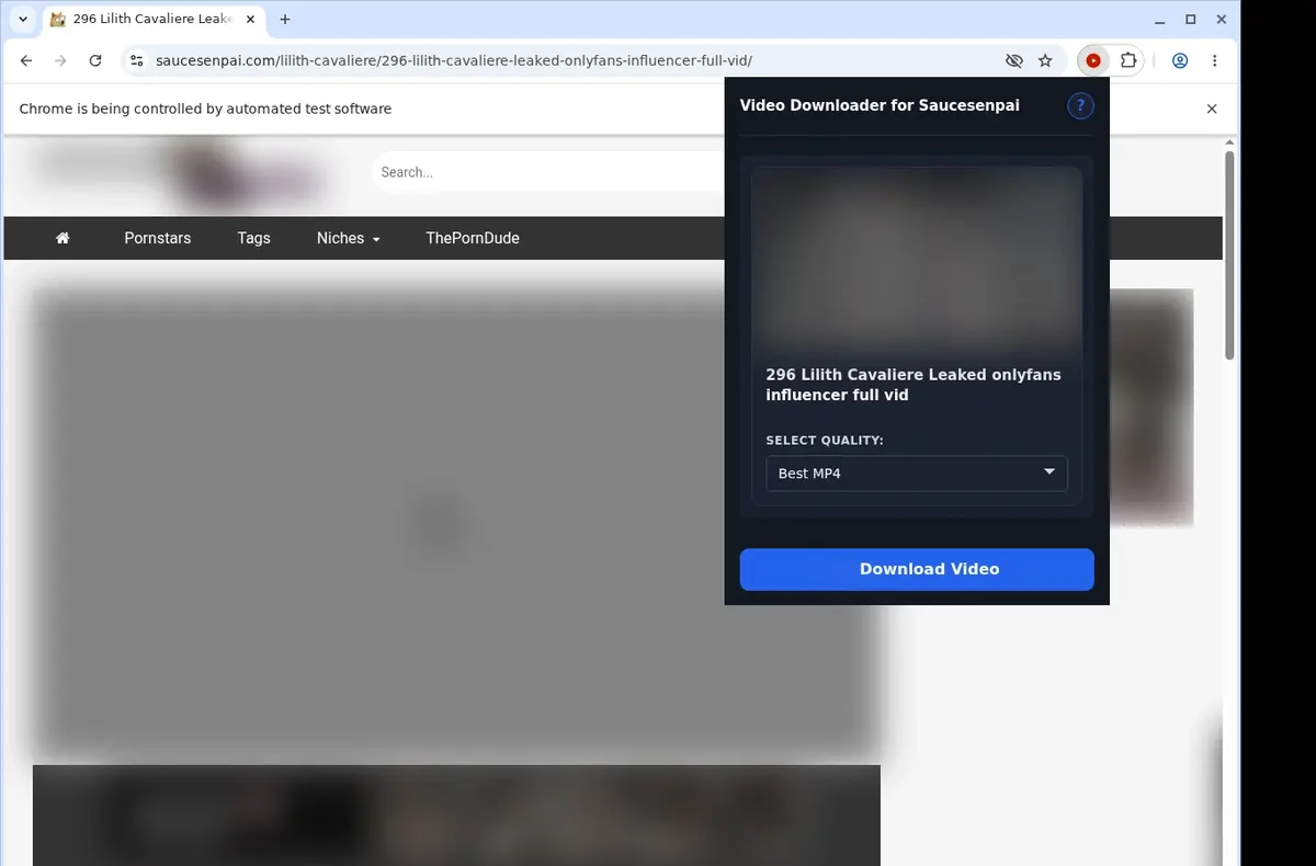 SauceSenpai Video Downloader showing detected media ready to download