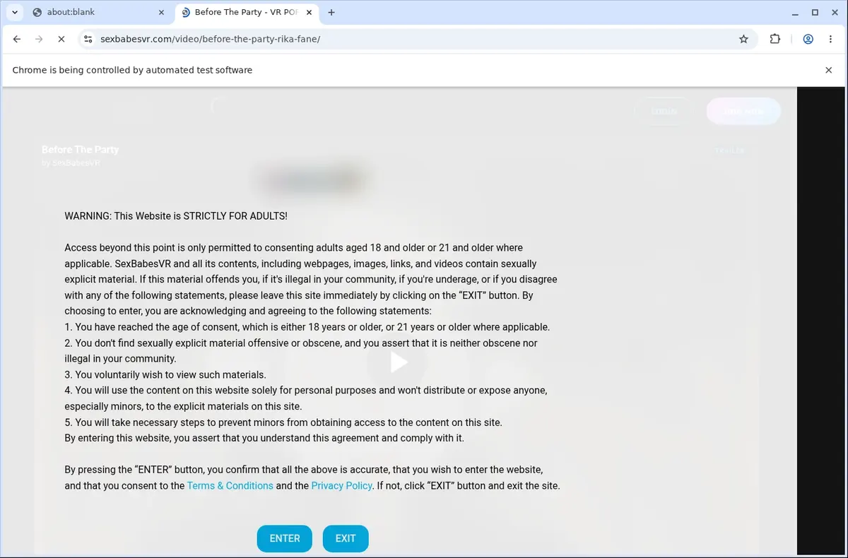 SexBabesVR Video Downloader page open in the browser