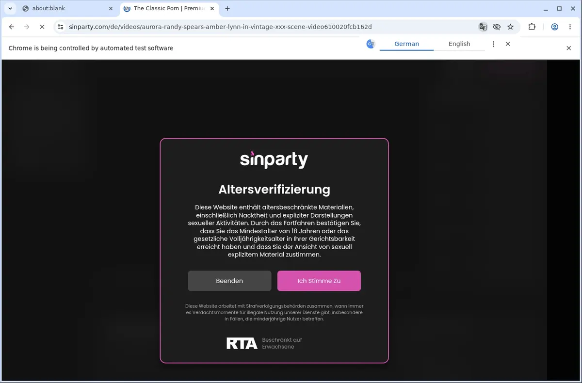 SinParty Tube Downloader page open in the browser