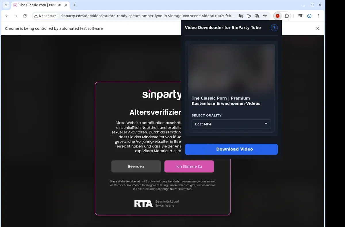 SinParty Tube Downloader showing detected media ready to download