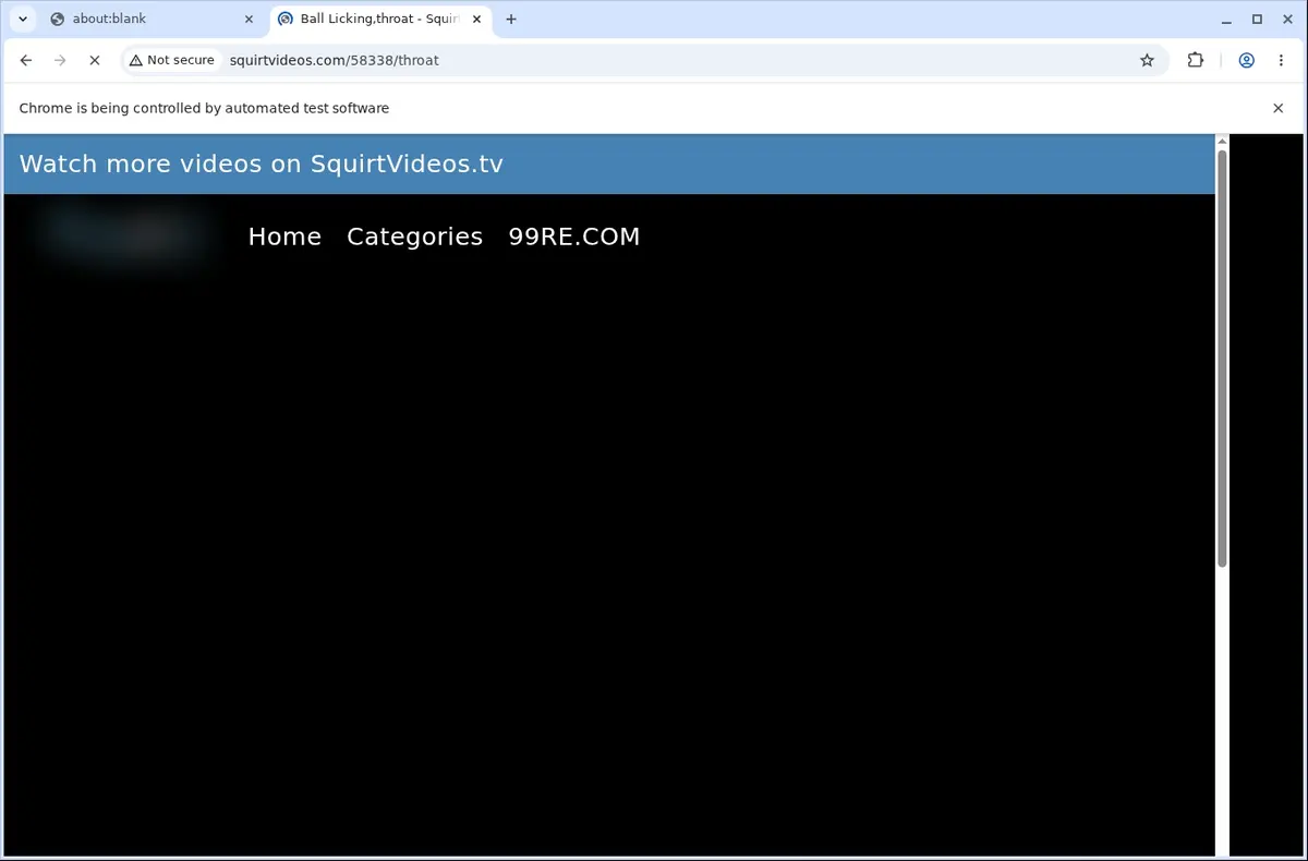 SquirtVideos Downloader page open in the browser