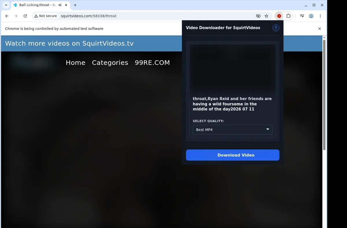 SquirtVideos Downloader showing detected media ready to download