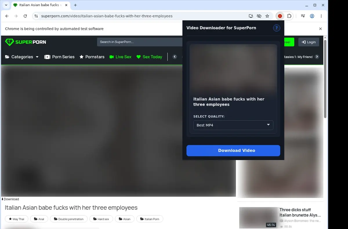 SuperPorn Downloader showing detected media ready to download