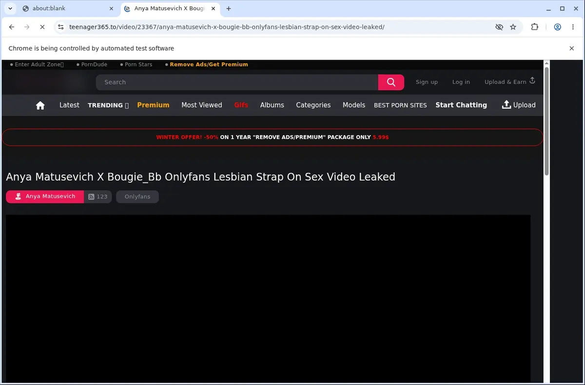 Teenager365 Video Downloader page open in the browser