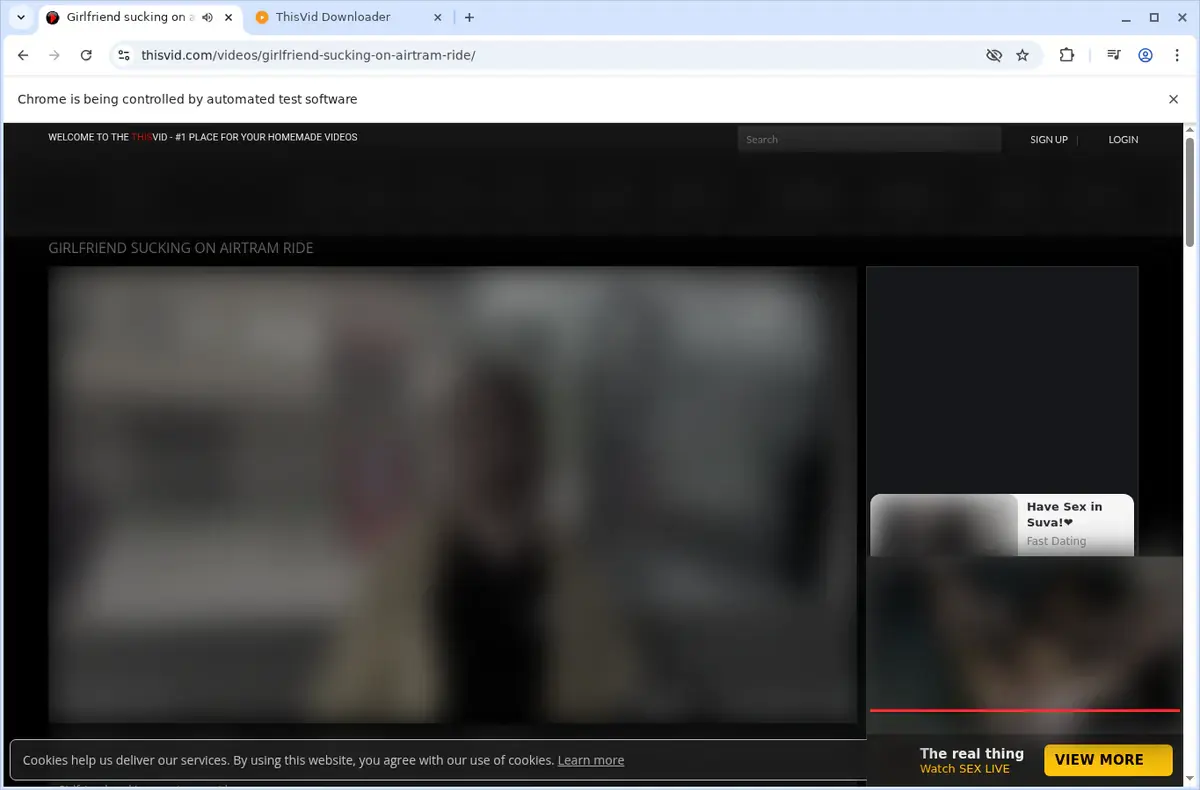ThisVid Video Downloader download progress panel