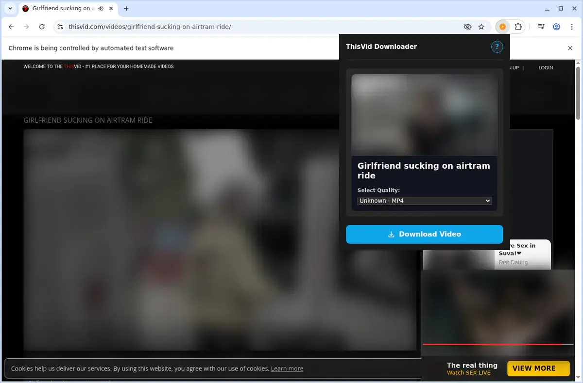 ThisVid Video Downloader showing detected media ready to download