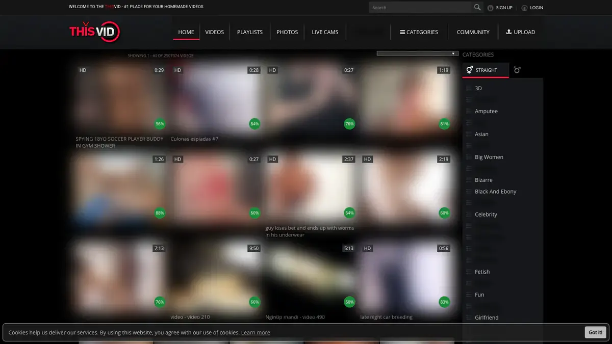 ThisVid Video Downloader page open in the browser