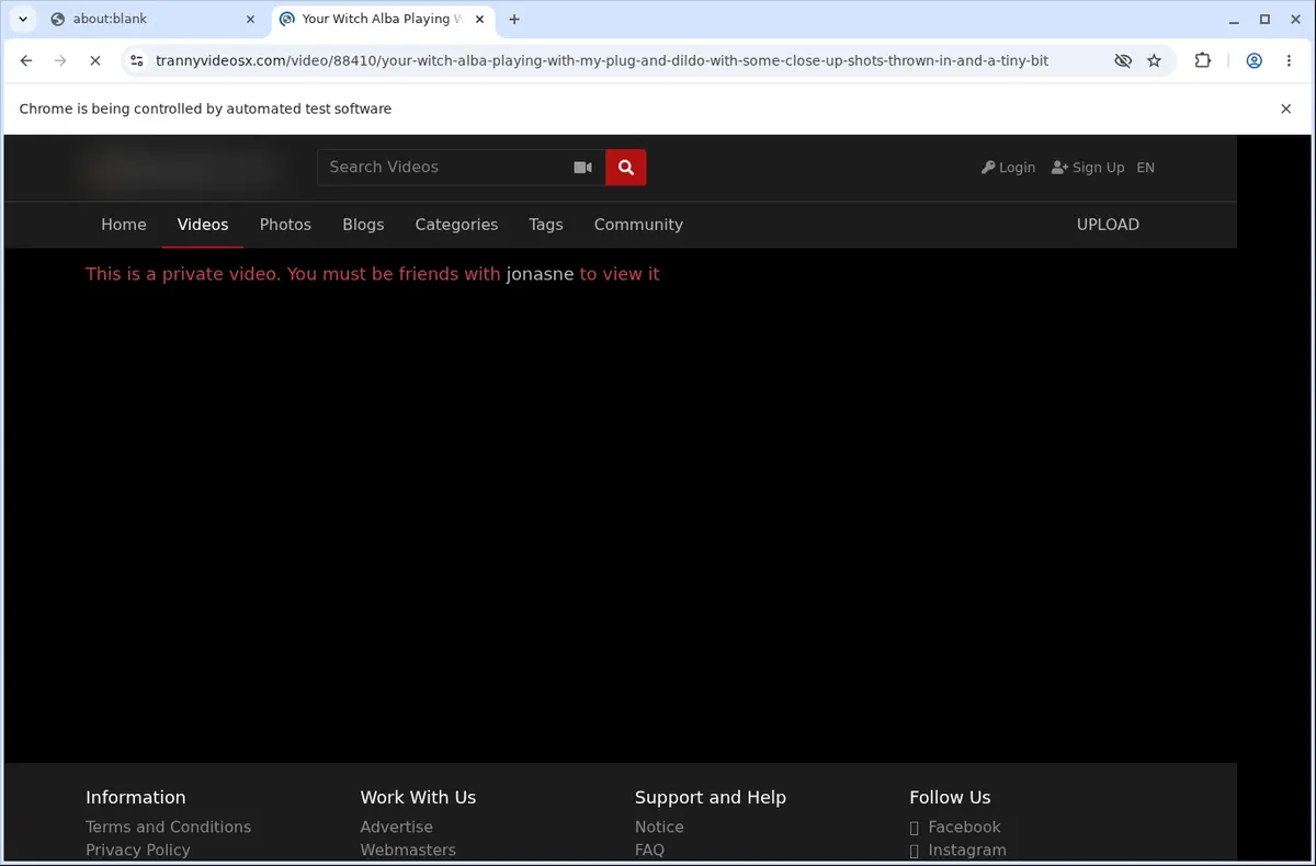 TrannyVideosX Downloader page open in the browser