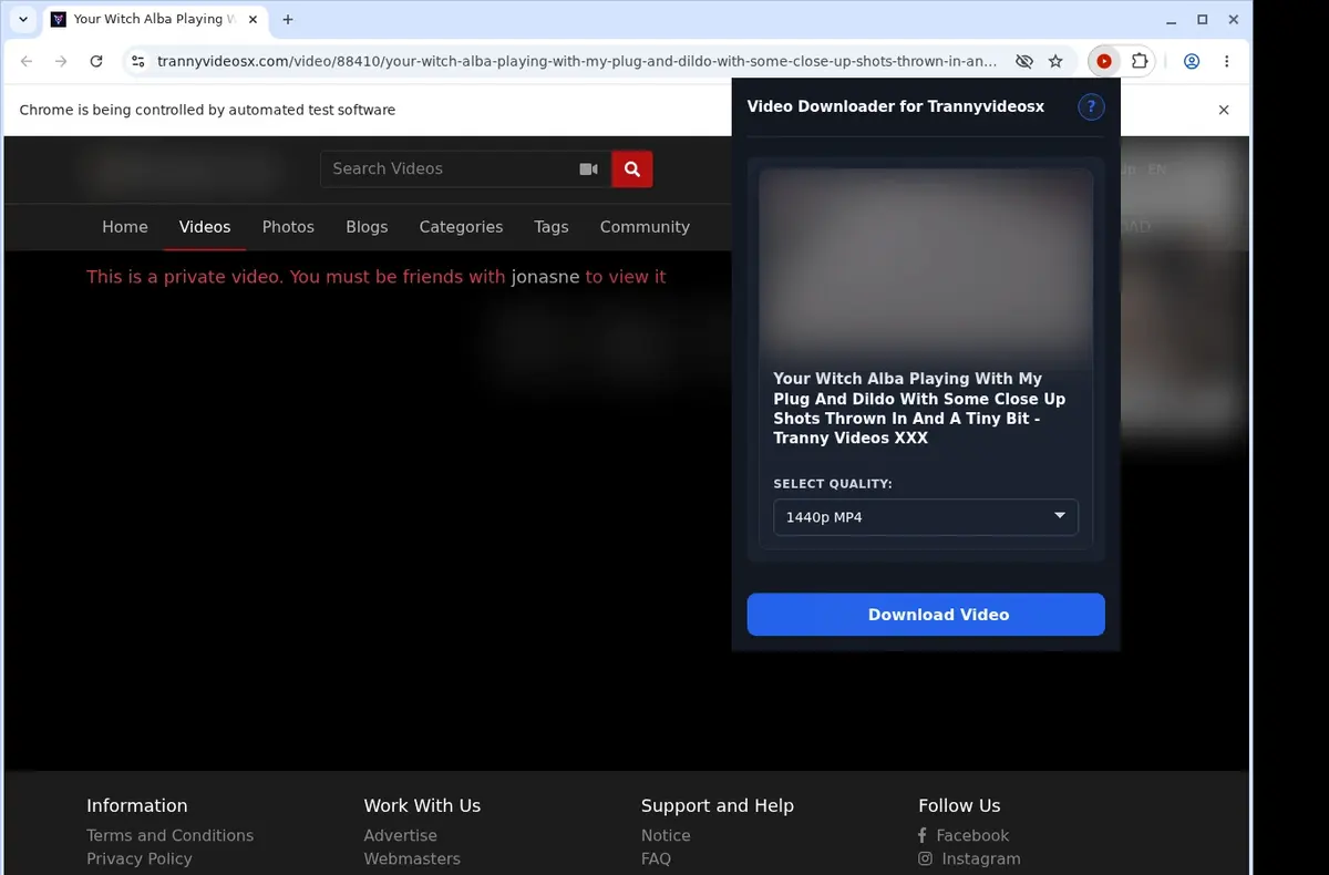 TrannyVideosX Downloader showing detected media ready to download