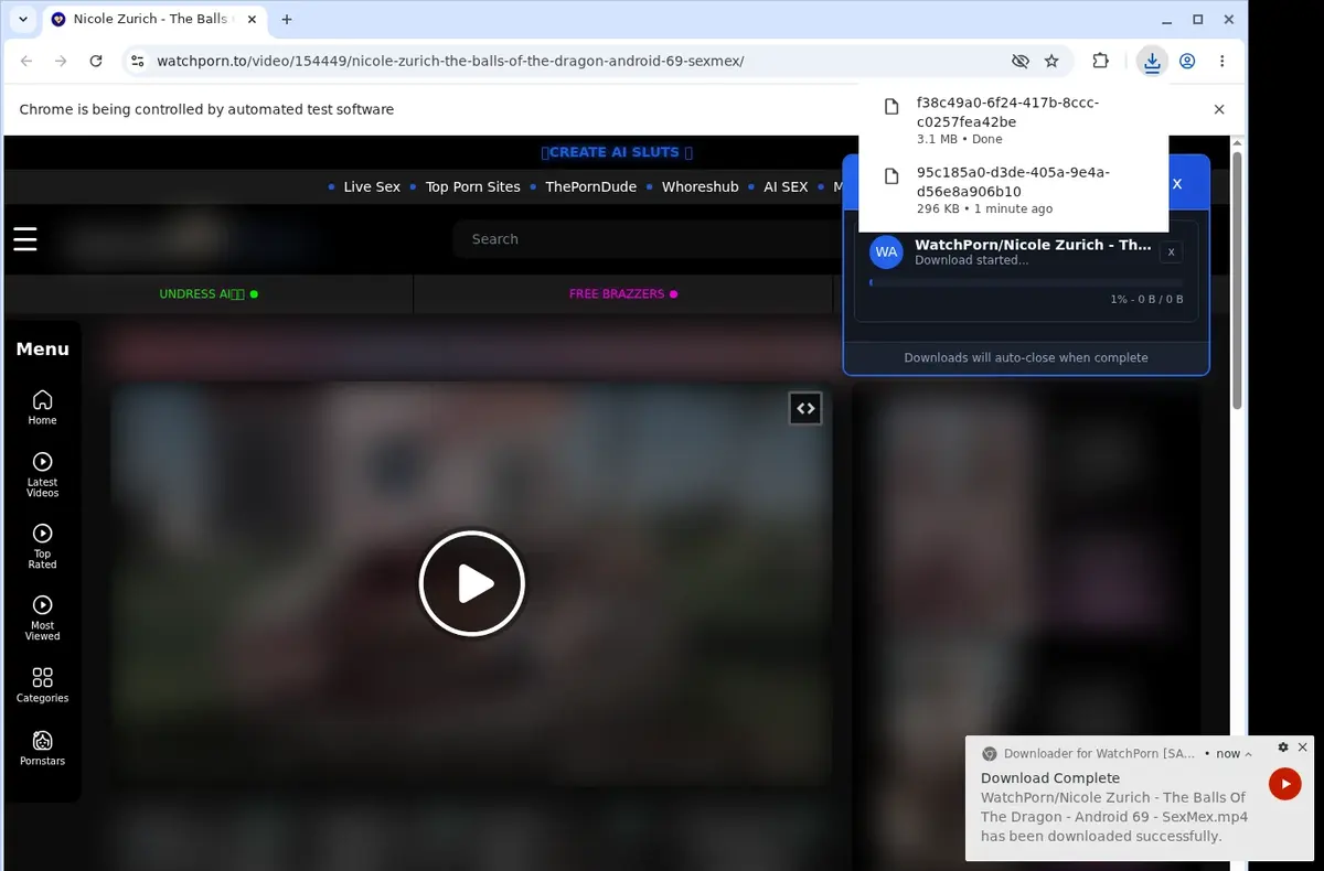 WatchPorn Downloader download progress panel