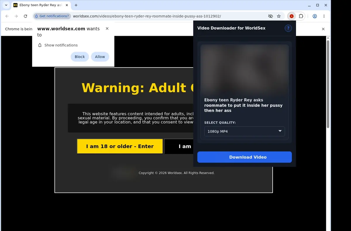 WorldSex Downloader showing detected media ready to download