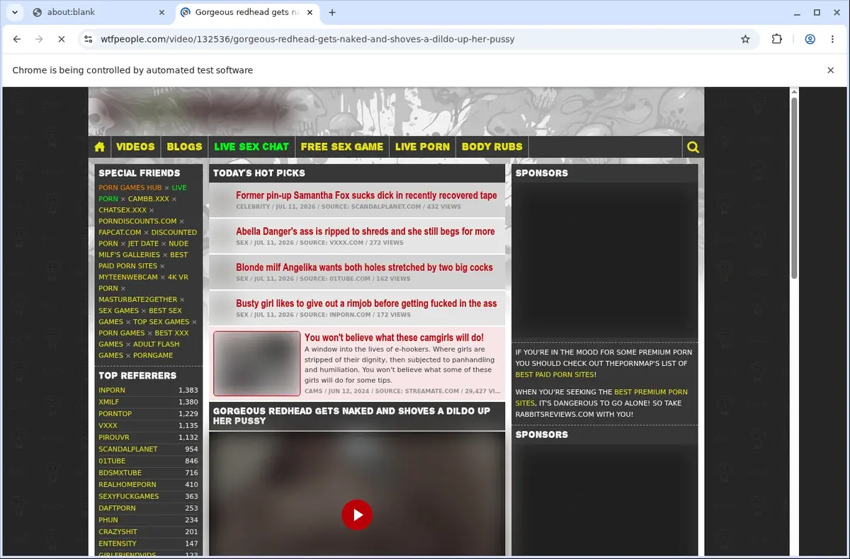 WTF People Downloader page open in the browser