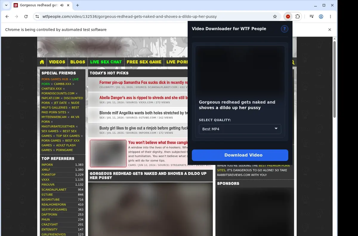 WTF People Downloader showing detected media ready to download