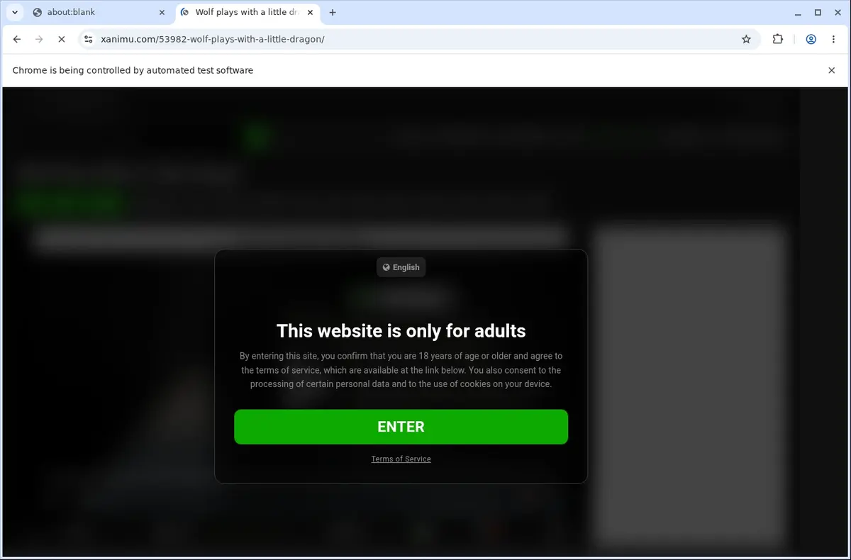 XAnimu Video Downloader page open in the browser