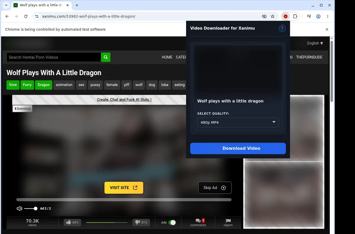 XAnimu Video Downloader showing detected media ready to download
