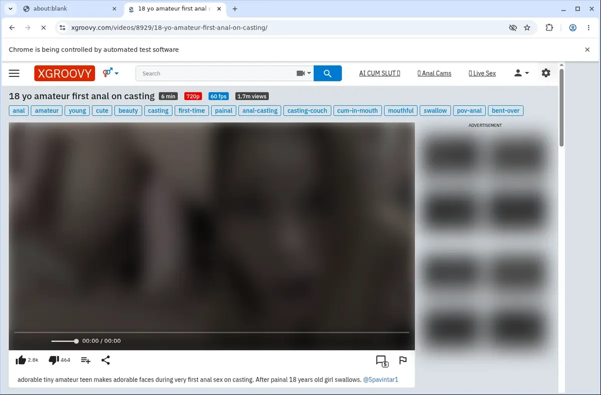 XGROOVY Downloader page open in the browser