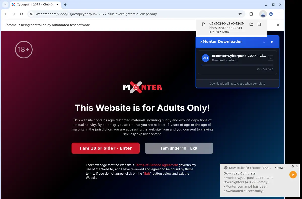 xMonter Downloader page open in the browser