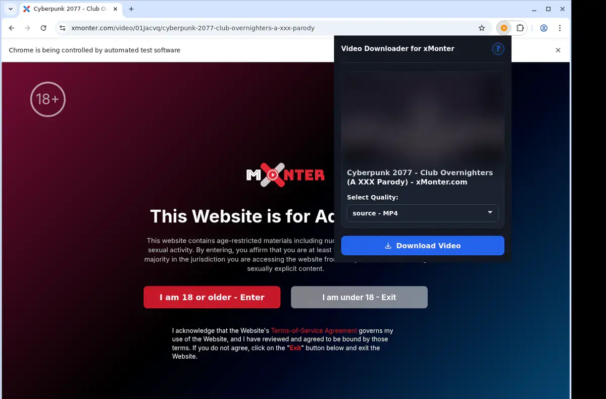 xMonter Downloader showing detected media ready to download