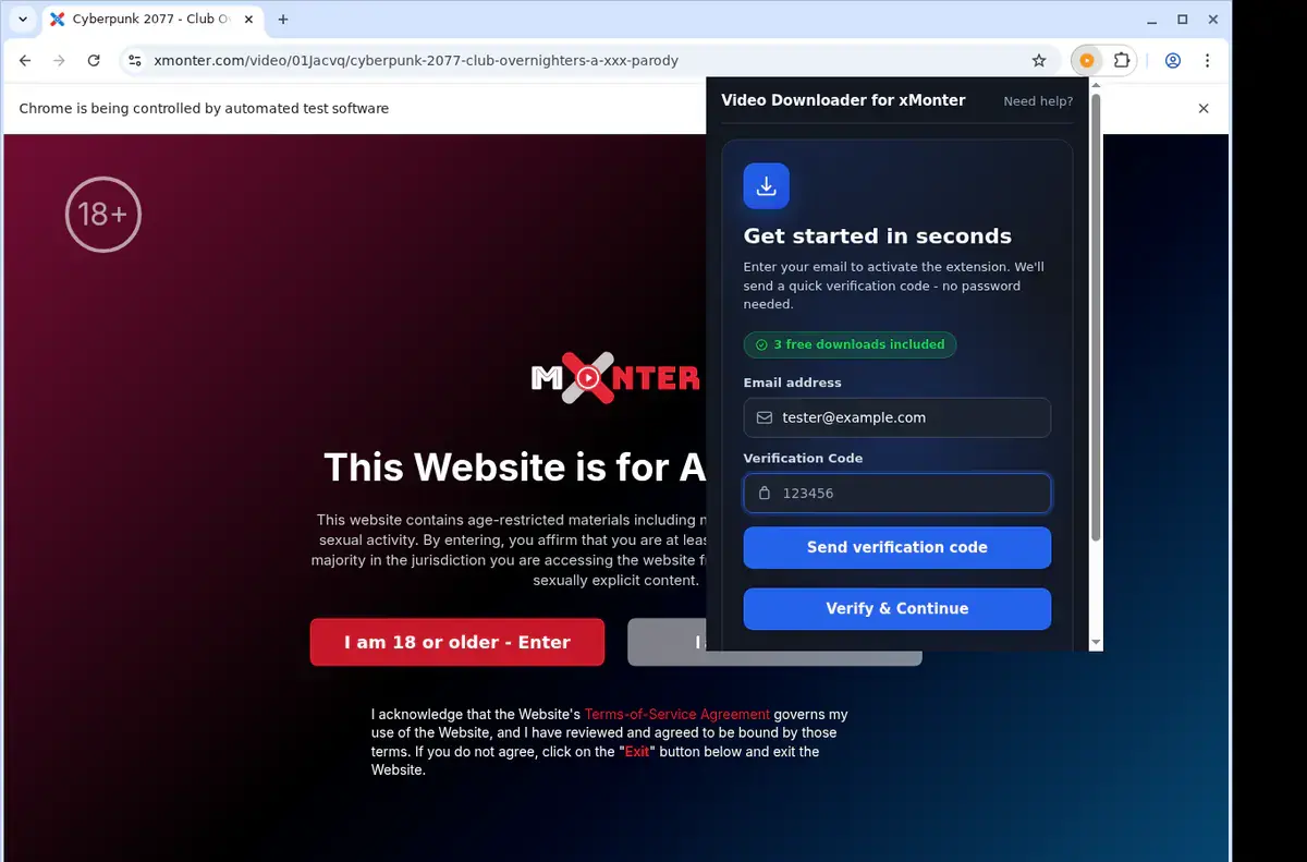 xMonter Downloader format selection and save step