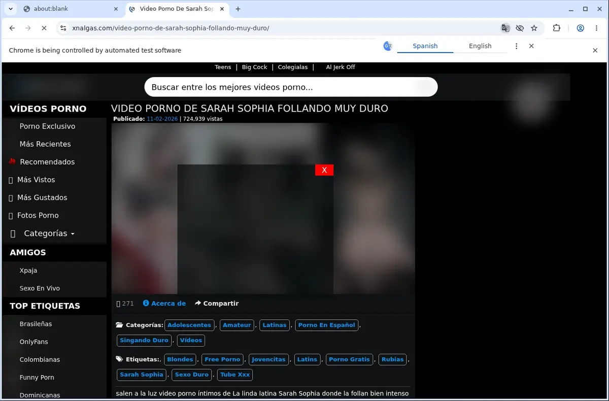 XNalgas Video Downloader page open in the browser