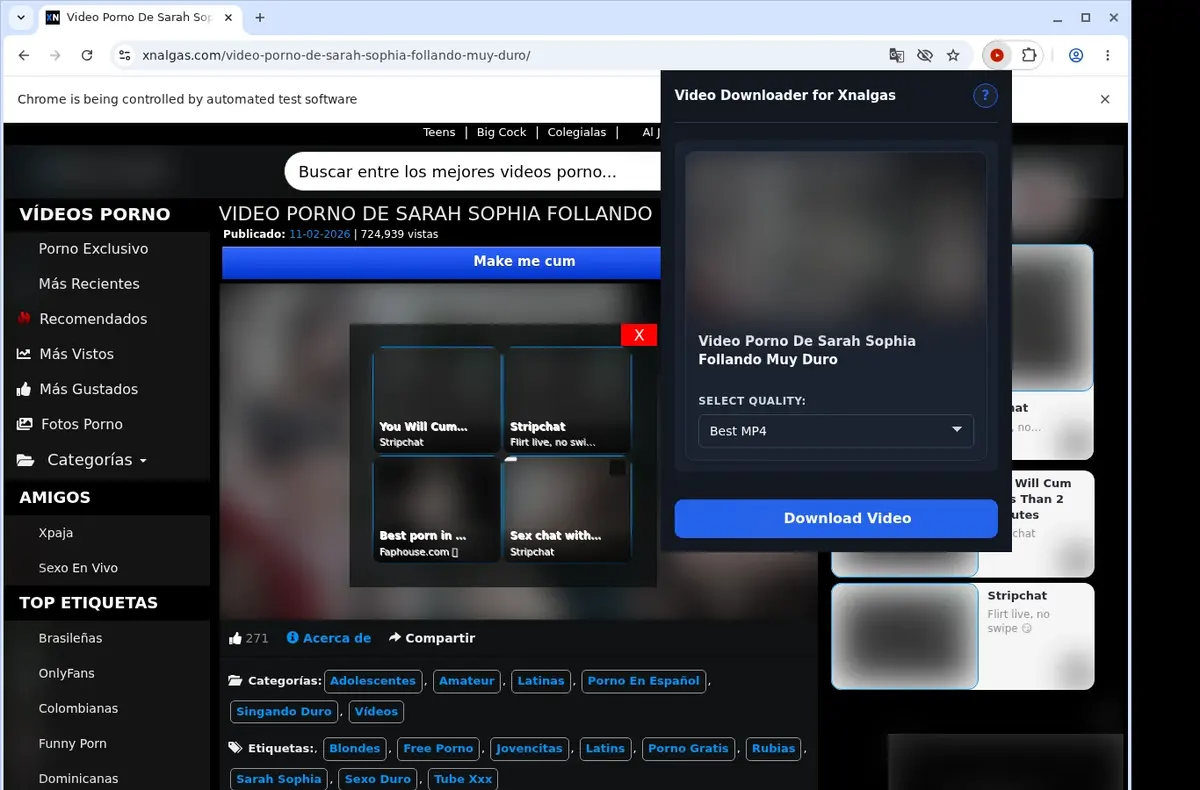 XNalgas Video Downloader showing detected media ready to download