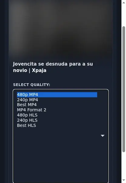 Xpaja Downloader format dropdown options