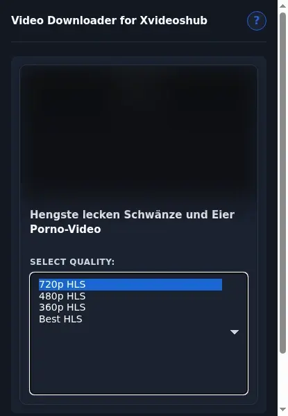 XVideosHub Downloader format dropdown options