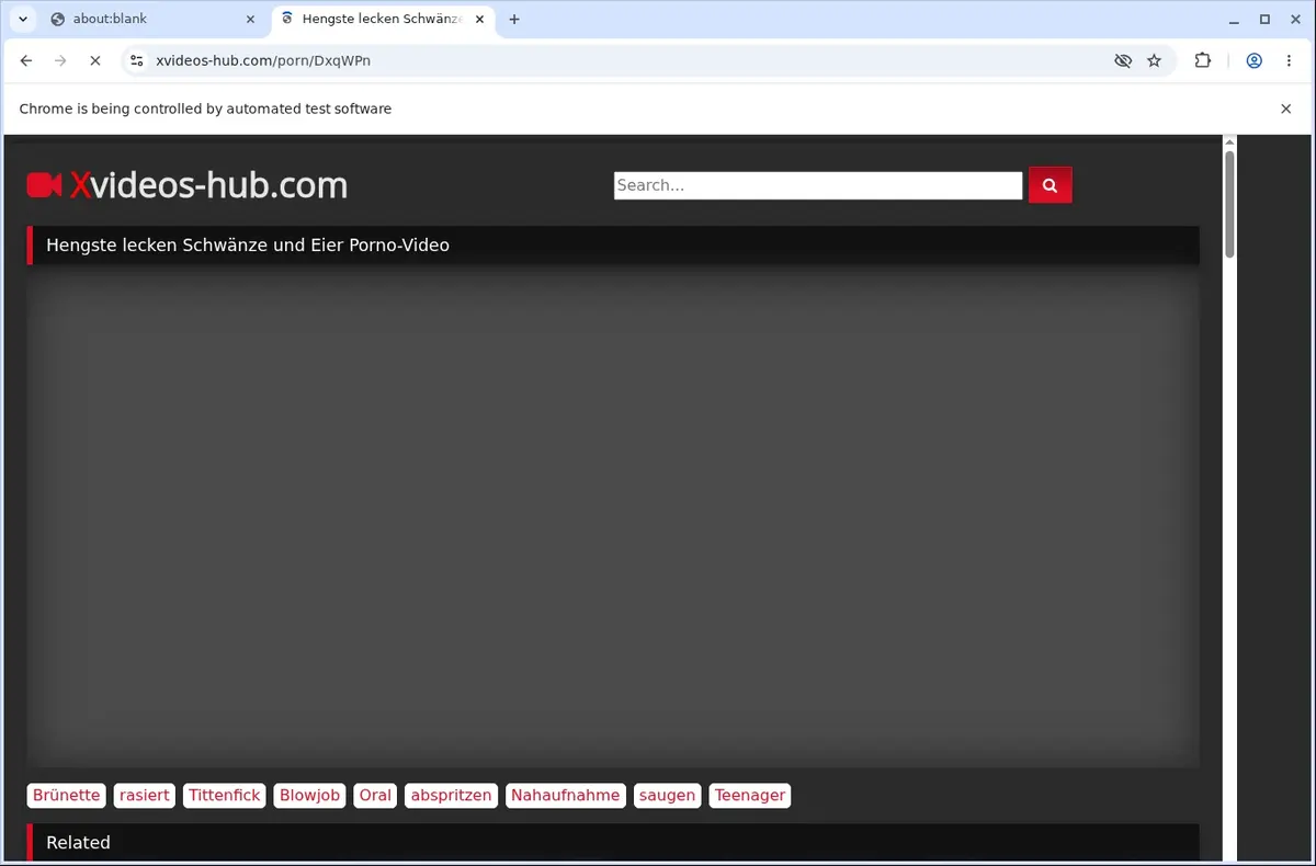 XVideosHub Downloader page open in the browser