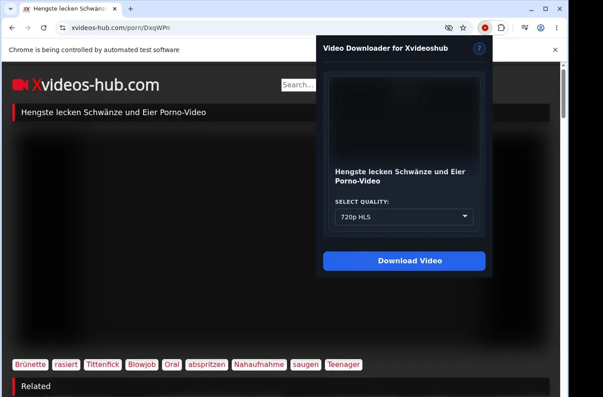 XVideosHub Downloader showing detected media ready to download