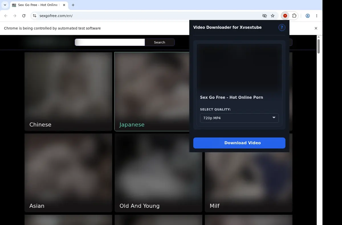 Xvsextube Video Downloader showing detected media ready to download