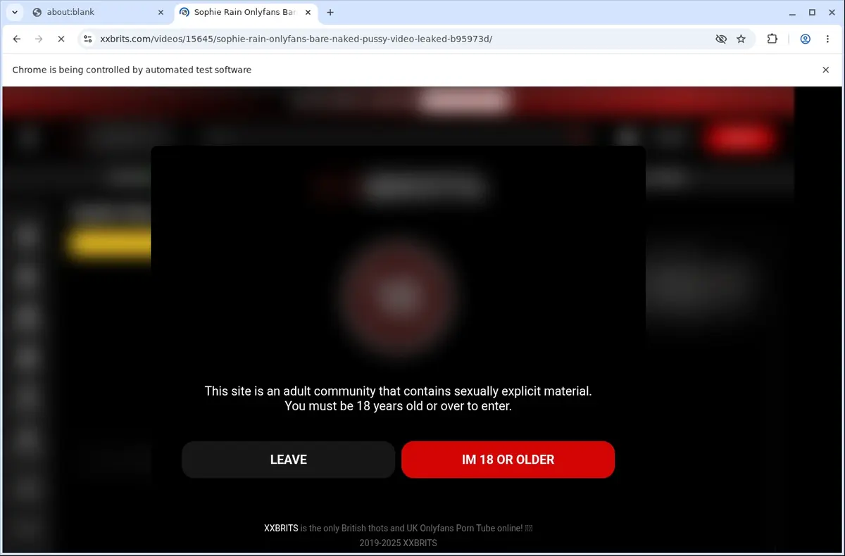 XXBrits Video Downloader page open in the browser