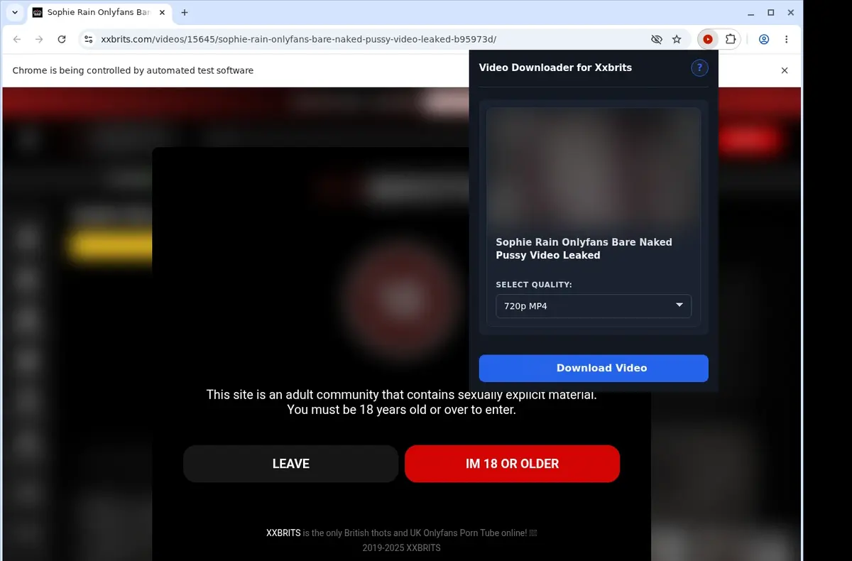 XXBrits Video Downloader showing detected media ready to download