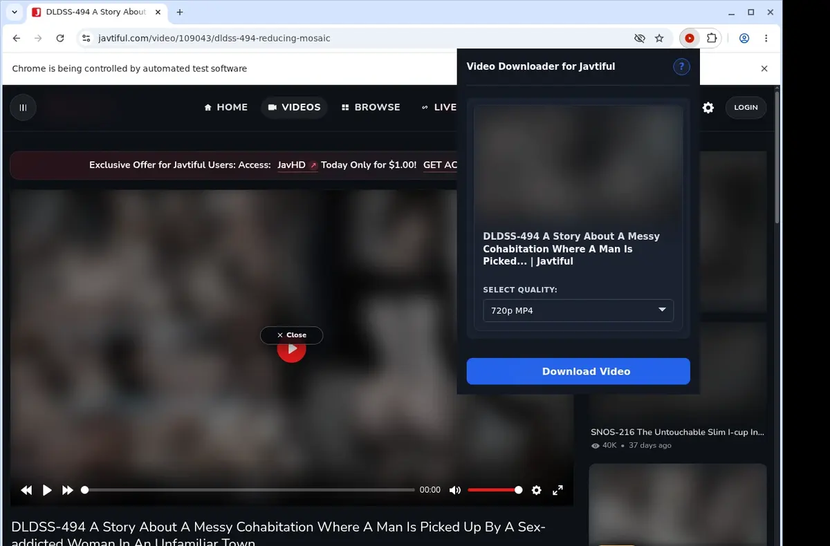 Javtiful Video Downloader showing detected media ready to download