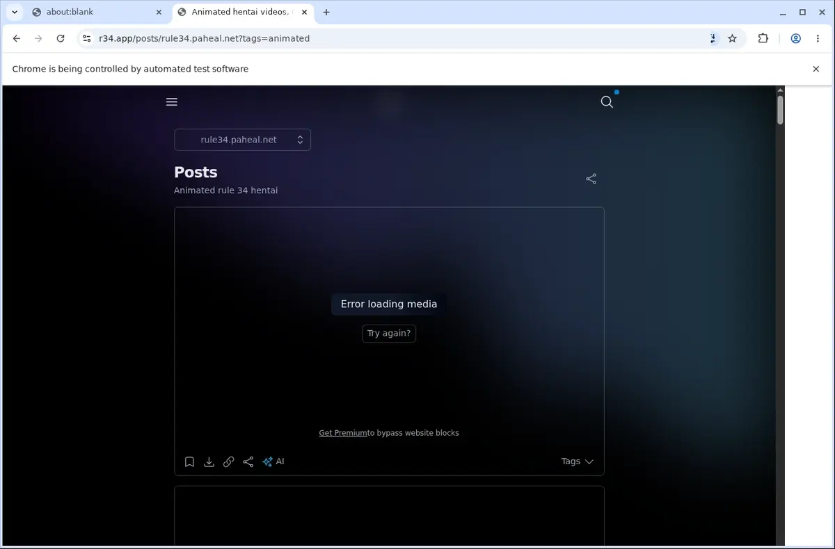 R34 Downloader page open in the browser