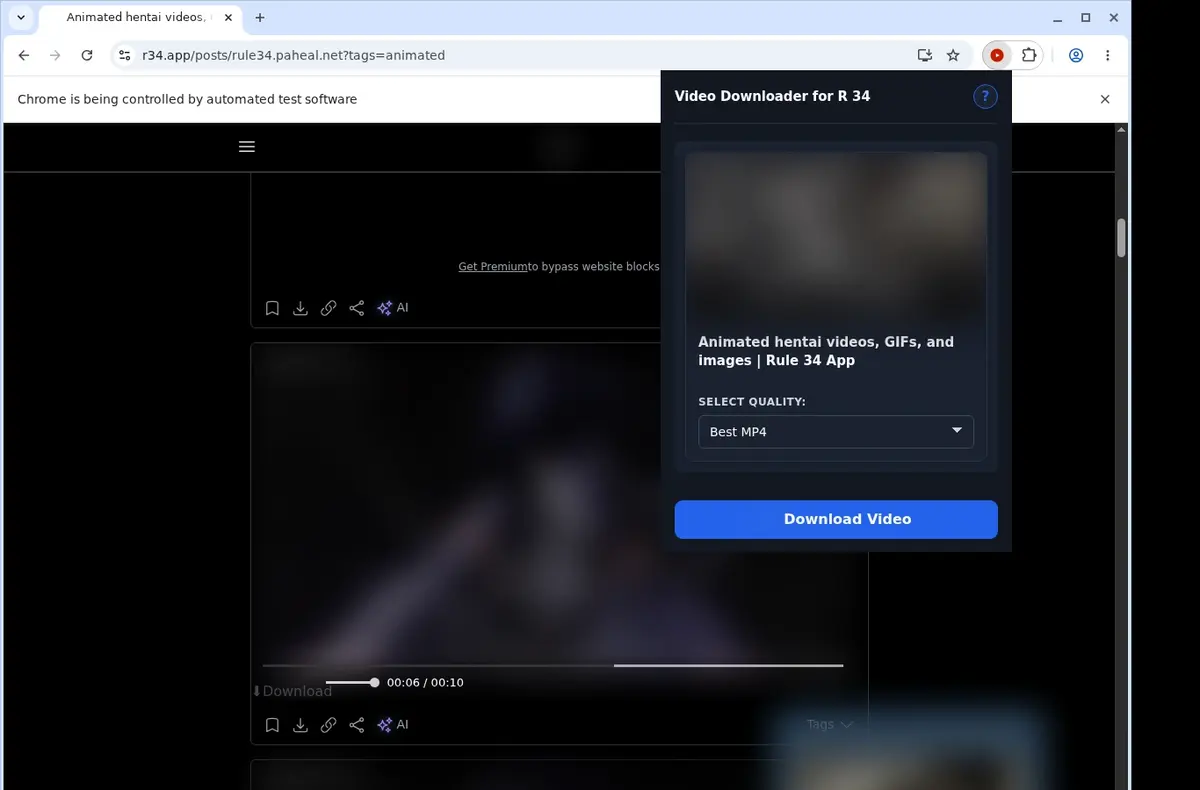 R34 Downloader showing detected media ready to download