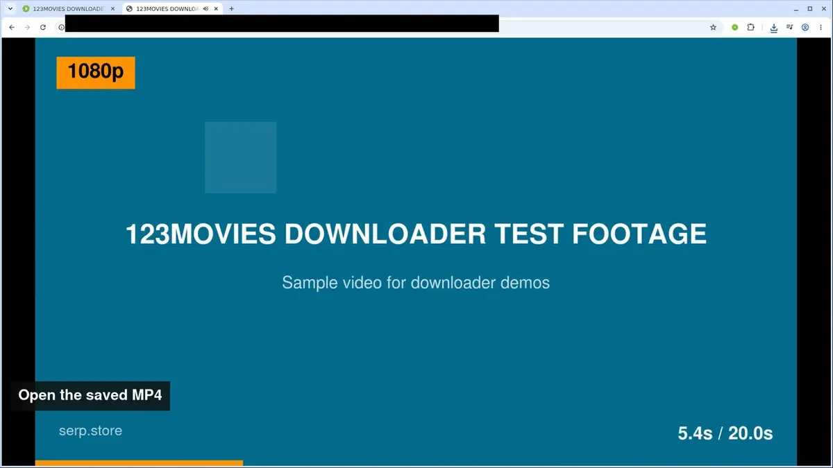 Downloader for 123Movies full walkthrough: install, sign in and download a 123Movies film